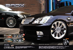 X�T�G���L��